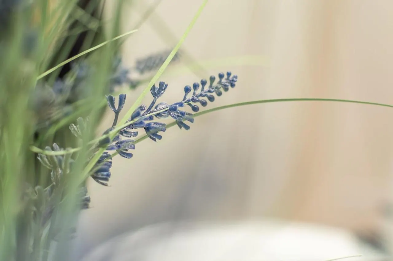 Style In Florence - Belcanto Villas Apartamento